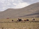 Argentinien- Bolivien 2016 - 672 von 768