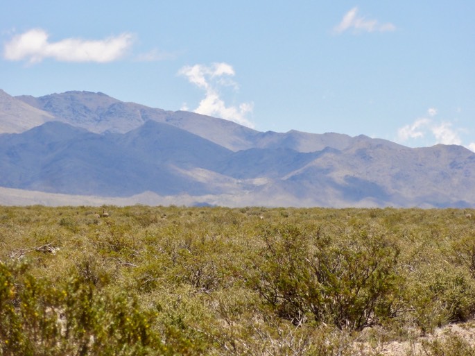 Argentinien- Bolivien 2016 - 349 von 768