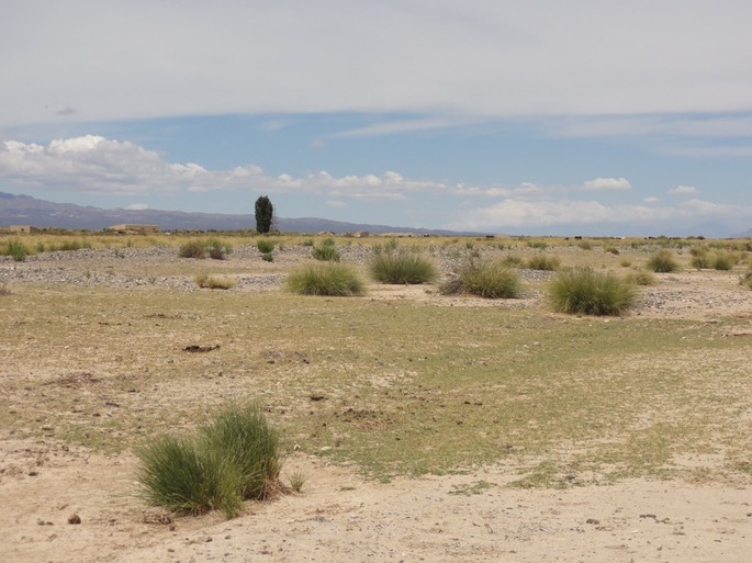 Argentinien- Bolivien 2016 - 404 von 768