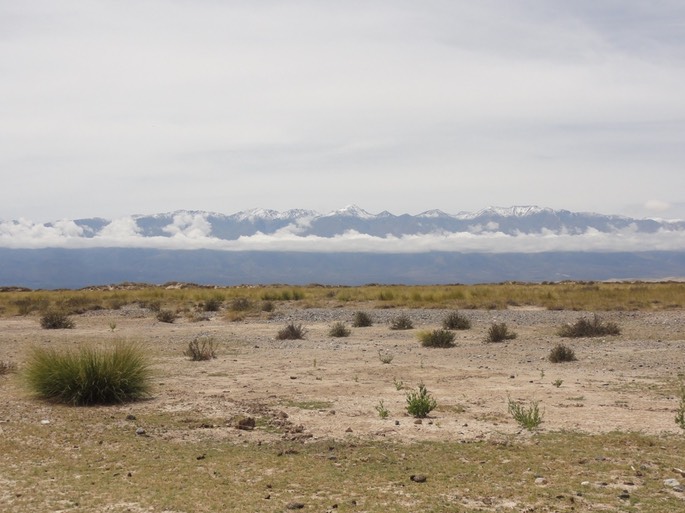 Argentinien- Bolivien 2016 - 405 von 768