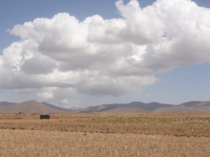 Argentinien- Bolivien 2016 - 679 von 768